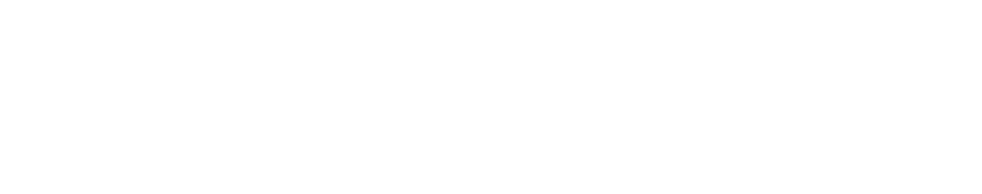The Wellness Hub